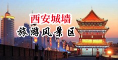www。极品美女被暴操中国陕西-西安城墙旅游风景区